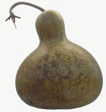 Raw Bushel Gourd